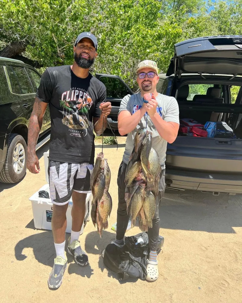 的联赛前景 的联赛前景